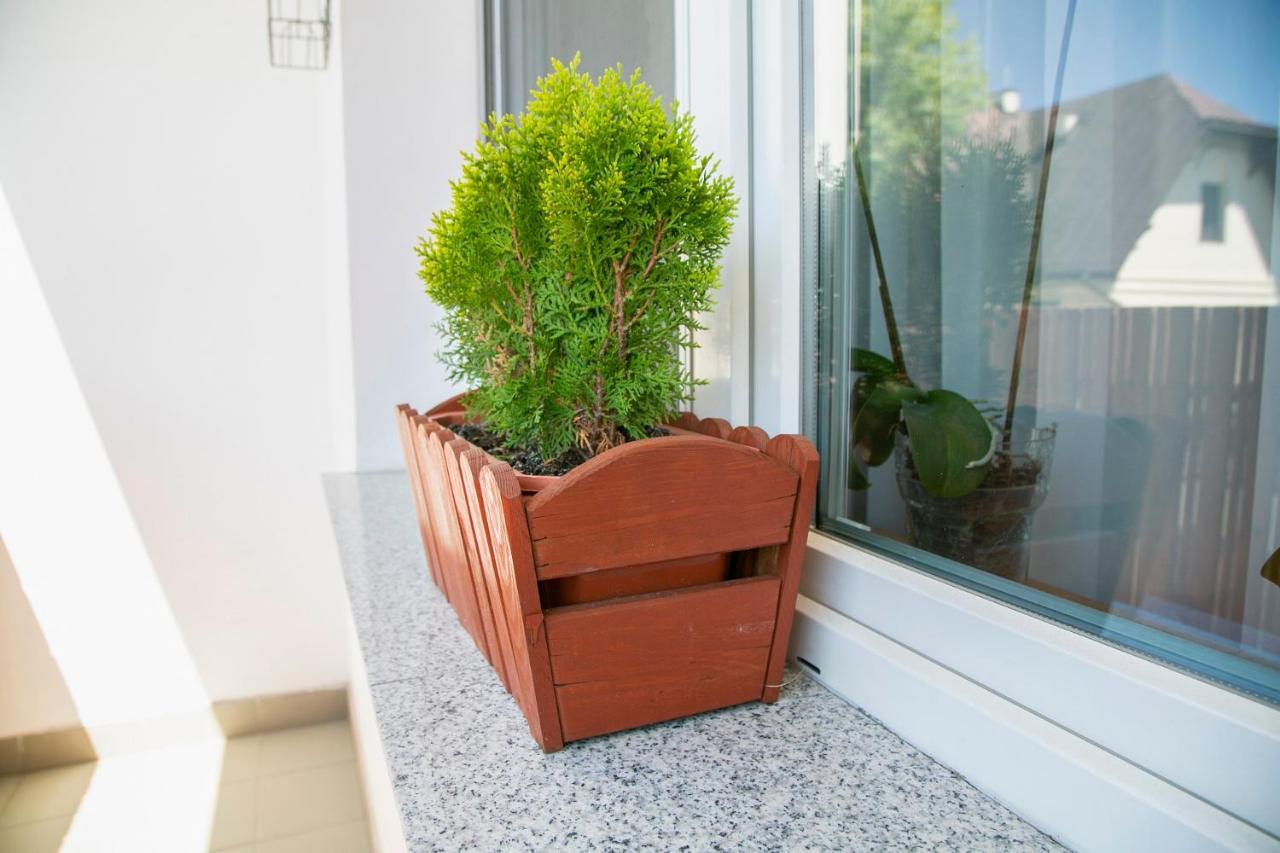 Best Apartment Tarnow Ngoại thất bức ảnh